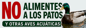 Prohibido alimentar patos y aves acuáticas